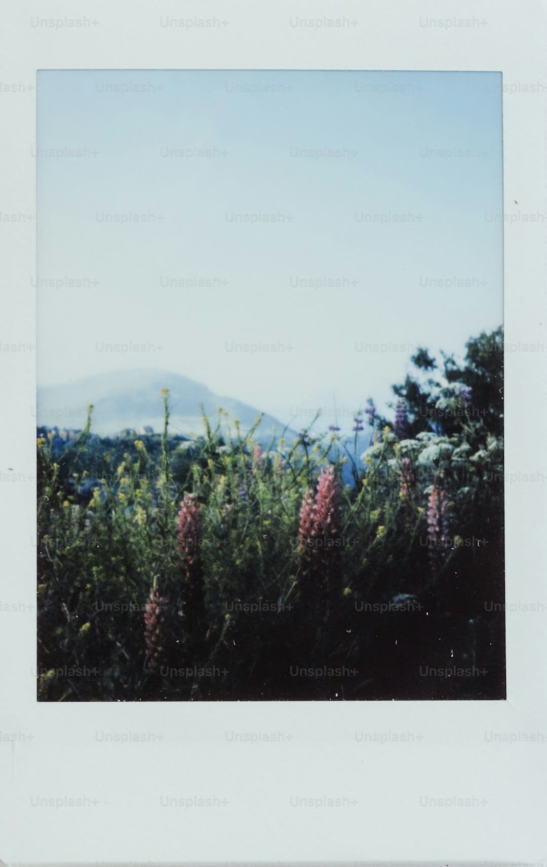 美丽我国丨呼伦贝尔大草原秋景如画
